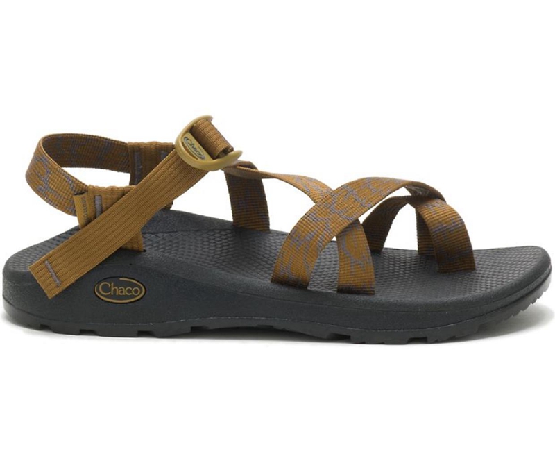 Brown Chaco Z/Cloud 2 Sandals | 73758V